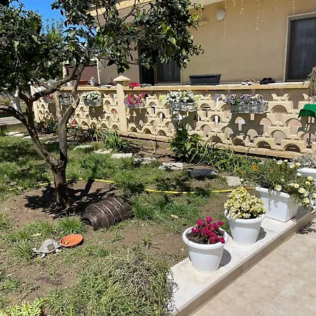 Apartman Olga *