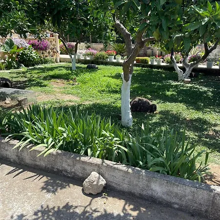 Olga Apartamento Marina di Ginosa